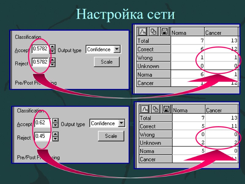 Настройка сети